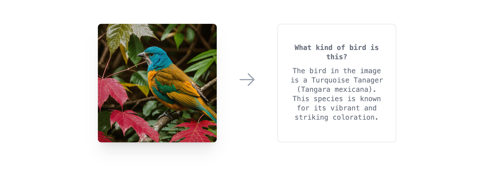 Optimized AI prompt